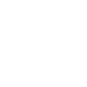 E-İhracat Danışmanlığı