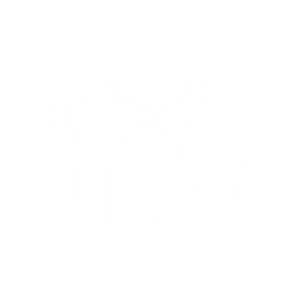 Veri Analizi ve Raporlama